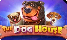 Slotoro – The Dog House